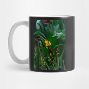 Orange flowers at an autumn garden Mug